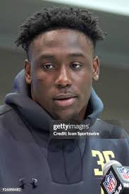 1,337 Robin Holmes Stock Photos, High-Res Pictures, and Images