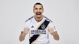 We have a massive amount of hd images that will make your computer or. Cartoon Wallpaper Zlatan Ibrahimovic