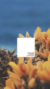 Maybe you would like to learn more about one of these? Winter Vsco Wallpapers Wallpaper Cave