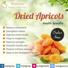 Health Benefits Of Apricots Apricot Health Benefits Fruit Health Benefits Healthy Snack Packs