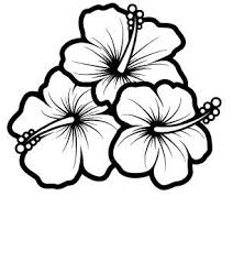 Introducing a set of hawaiian flowers coloring pages. Hummingbird And Hibiscus Drawing Bing Images Sketch Coloring Page Hibiscus Drawing Hibiscus Flower Drawing Flower Drawing