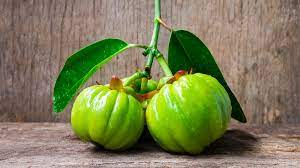 Gracias al hca la garcinia cambogia tiene propiedades adelgazantes ya que aumenta los niveles de serotonina que provocan una disminución del apetito y . Schlankheit Fordert Garcinia Cambogia Die Gewichtsabnahme