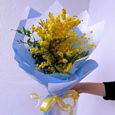 Image result for Mimosa