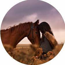 pin by mem on ديكور horse girl photography abstract line art girl photography poses