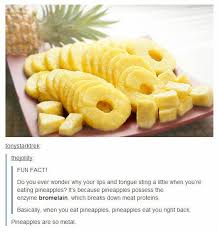 Basically When You Eat Pineapples They Eat You Right Back Lol Fun Facts Food Pineapple Facts