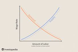 Plws is a compensation framework which seeks to establish a practical link between wages and productivity, or between performance and compensation. Labor Market Definition