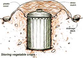 Check spelling or type a new query. Mock Root Cellars Prepareaware S Blog