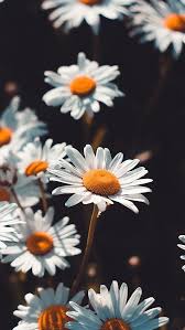 Hd Ios Aesthetic Iphone X Wallpaper List Of Great Hd Ios Aesthetic Iphone X Wallpaper Update