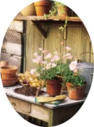 Obituary information for Ollie Mae Lawson