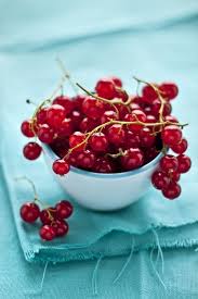 Le Nouveau Monde Selon Musefraisedesbois Fruits Et Legumes Art Et Cuisine Recettes De Cuisine