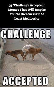 Thanks To Knowyourmeme Crave And R Funny For Contributing Some Of The Challenges In This Gallery If You Enjoyed This Gallery Dark Humour Memes Memes Funny