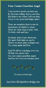 I Ve Seen Your Signs I Know You Do But More Than Than The Signs L D Much Rather Have Hold You Baby Girl Dog Poems Pet Poems Pet Loss Grief