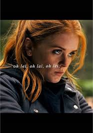 Harry Potter Dr Lily Diary