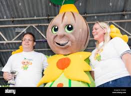 Newent onion fayre hi-res stock photography and images