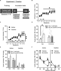 We did not find results for: Frontiers Role Of Bnst Crfr1 Receptors In Incubation Of Fentanyl Seeking Behavioral Neuroscience