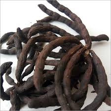 Image result for Xylopia aethiopica