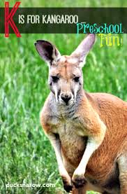 Find out how to make your own kangaroos with these easy arts i'm sure whatever bag i used for the kangaroo pouch craft would have been filled fast and would. K Is For Kangaroo Preschool Fun Ducks N A Row