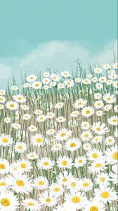 Art How Wallpaper Flower Phone Wallpaper Scenery Wallpaper Daisy Wallpaper