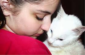 JAVMA News in: Journal of the American Veterinary Medical Association  Volume 231 Issue 12 ()