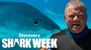 We did not find results for: William Shatner Overcomes His Fear Of Sharks Shark Week Youtube