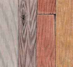 Then i drew a knot and began adding wood grain around the knot and along the length of the plank. Tips For Drawing Realistic Wood Grain Carrie L Lewis Artist