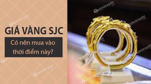 Gia Vang Sjc Tại Cần Thơ Hom Nay