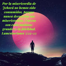 Pin By Florecita Vallejo On Dios Hijo Movie Posters Bible Movies