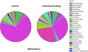 Do Cultivars Of Native Plants Support Insect Herbivores In