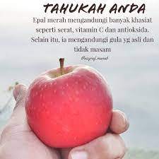 Tapi, epal hijau mempunyai sedikit kelebihan terutamanya kepada mereka yang sedang berdiet kerana epal hijau biasanya. Fruitylicious Hai Semua Tahukah Anda Bahawa Epal Merah Facebook