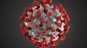 Viruses infect all types of life forms, from animals and plants to microorganisms. Coronavirus Ecco Le Immagini Del Virus La Repubblica