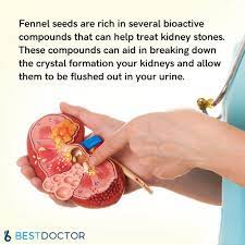 Know The Benefits Of Fennel Seeds For Kidney Stones Kidney Stones Treat Kidney Stones Fennel Seeds