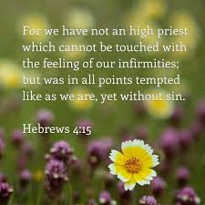 Maybe you would like to learn more about one of these? Favorite Scriptures