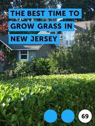 Learn The Best Time To Grow Grass In New Jersey How To Guides Tips And Tricks Plants Lawn French Drain