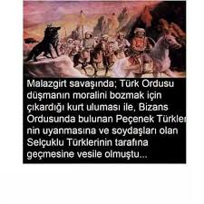 Hatice Pala Adli Kullanicinin Turk Panosundaki Pin Turkler Ordu Turkiye