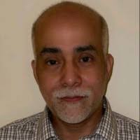 Wilfredo Roman Email & Phone Number