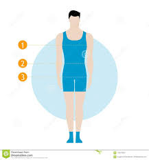 Male Body Measurement Chart Figure Of The Guy Model In