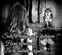 Pin En Lobos