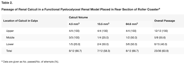 3d Printed Kidney Helps Researchers Prove Riding A Roller Coaster May Help Pass Small Kidney Stones 3dprint Com The Voice Of 3d Printing Additive Manufacturing