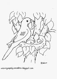 They're great for all ages. Printable Robin Bird Coloring Pages Novocom Top