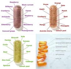 What Is Included In Juice Plus Capsules Juiceplus Capsules Included Juice Juiceplus Juice Plus Capsules Juice Plus Juice Plus Complete