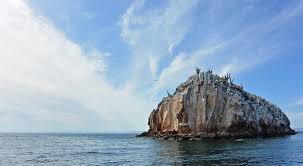 Completa información de este precioso pueblo de 832 mapas, fotos y estadísticas de espíritu santo, un pueblo de gran tamaño precioso de 832 habitantes del. An Unforgettable Adventure At Mexico S Isla Espiritu Santo