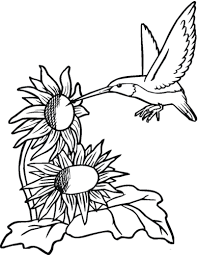 Maybe you would like to learn more about one of these? 25 Free Hummingbirds Coloring Pages Printable