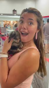 Fox Valley Mall Aurora Dog Store