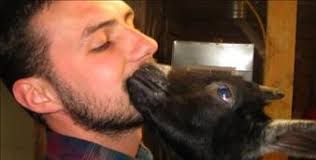 Dylan Ravenfox Obituary (2010)