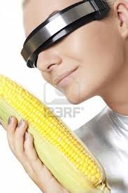 Today's phobia is navarrofobia The fear of cornfields