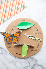 Download Butterfly Life Cycle Craft With Free Template The Best Ideas For Kids