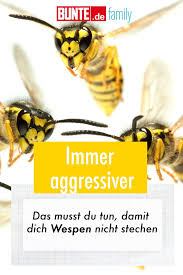 Immer Aggressiver Das Musst Du Tun Damit Dich Wespen Nicht Stechen In 2020 Aggressiv Wespe Wespenstich