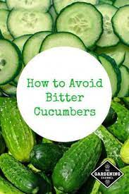 Growing zucchini in mild winters that are frost free can be frustrating as only male flowers may be produced. 380 Seeds Recommended For Illinois Ideas Seeds Vegetable Seed Full Sun Annuals