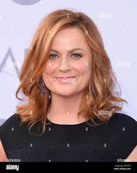 Amy poehler hi-res stock photography and images