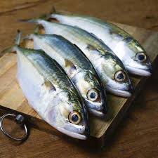 Mancing ikan tenggiri dengan cara tradisional menggunakan umapan ikan mati yang di potong kedua sisi badan ikan tsb lalu di. Resep Balado Ikan Tenggiri Lauk Enak Dan Praktis